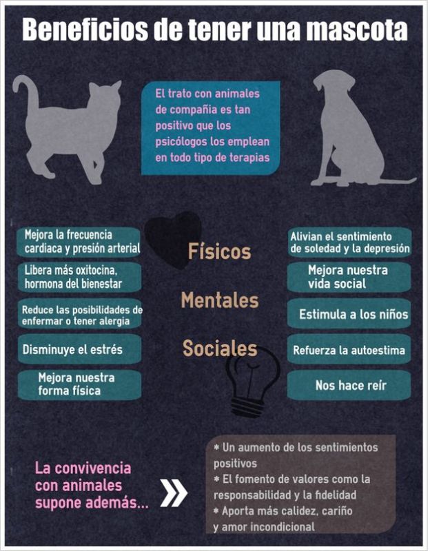 beneficios de tener mascota.jpg